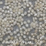 6456 flat pearl about 1.25-1.5mm.jpg